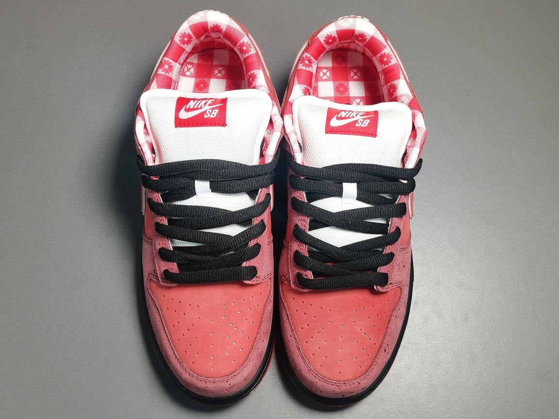 NIKE Sb Dunk - Concepts Lobster Sneakers - Red Unisex Streetwear Limited Edition