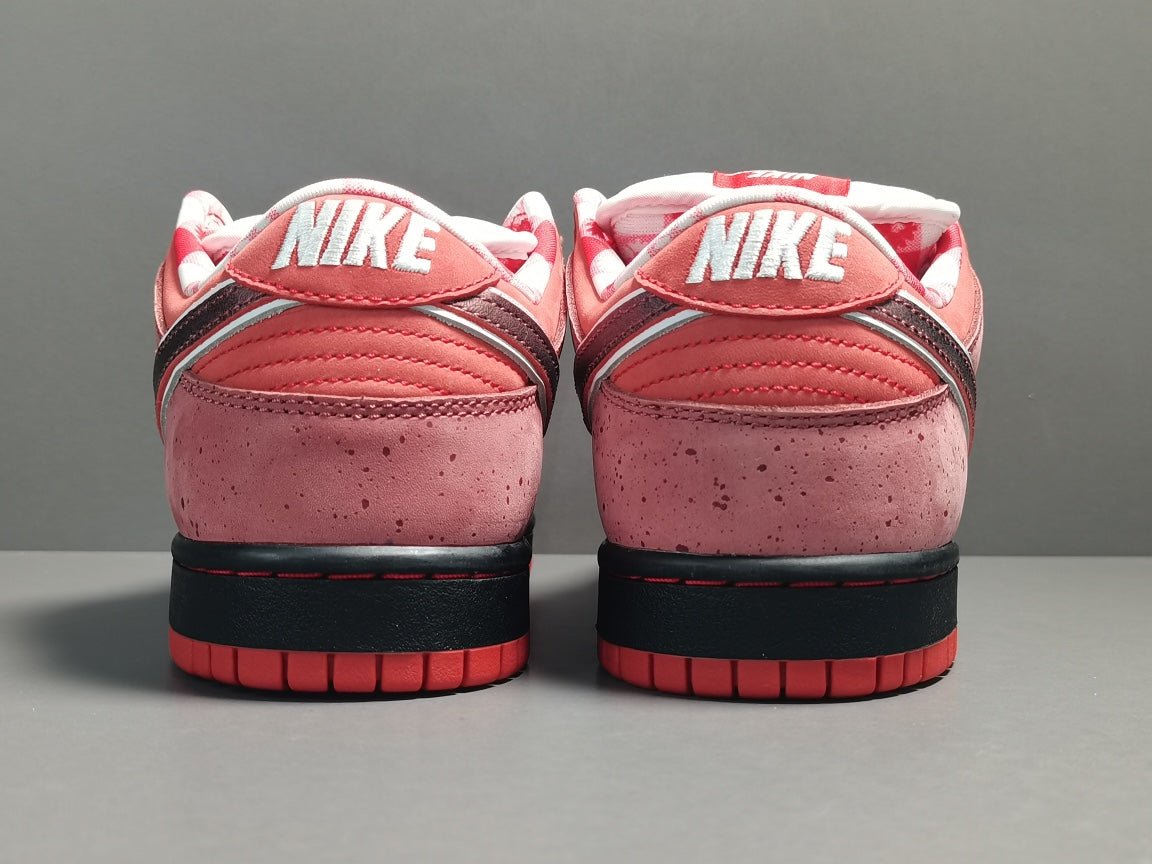 NIKE Sb Dunk - Concepts Lobster Sneakers - Red Unisex Streetwear Limited Edition